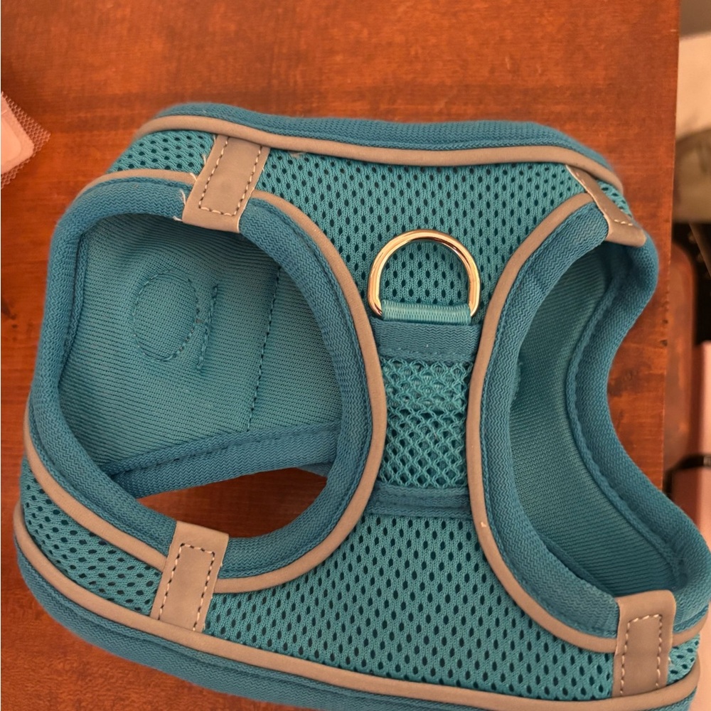 Blue Dog Harness - Picture 2 of 3